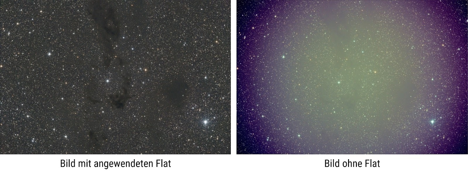 Vergleich Flats.jpeg